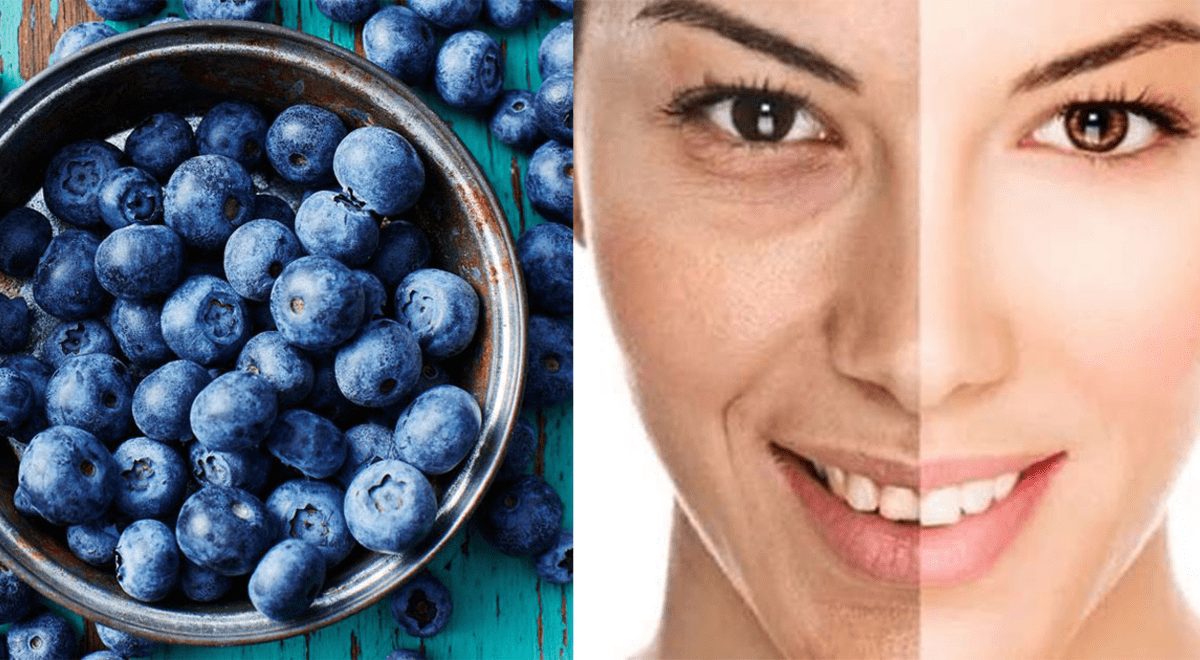 Transforma tu belleza naturalmente: Los increíbles beneficios de los arándanos 3 ECOSISTEMAS Y CULTIVO SOSTENIBLE