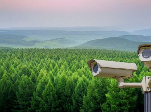 imagen incendios forestales