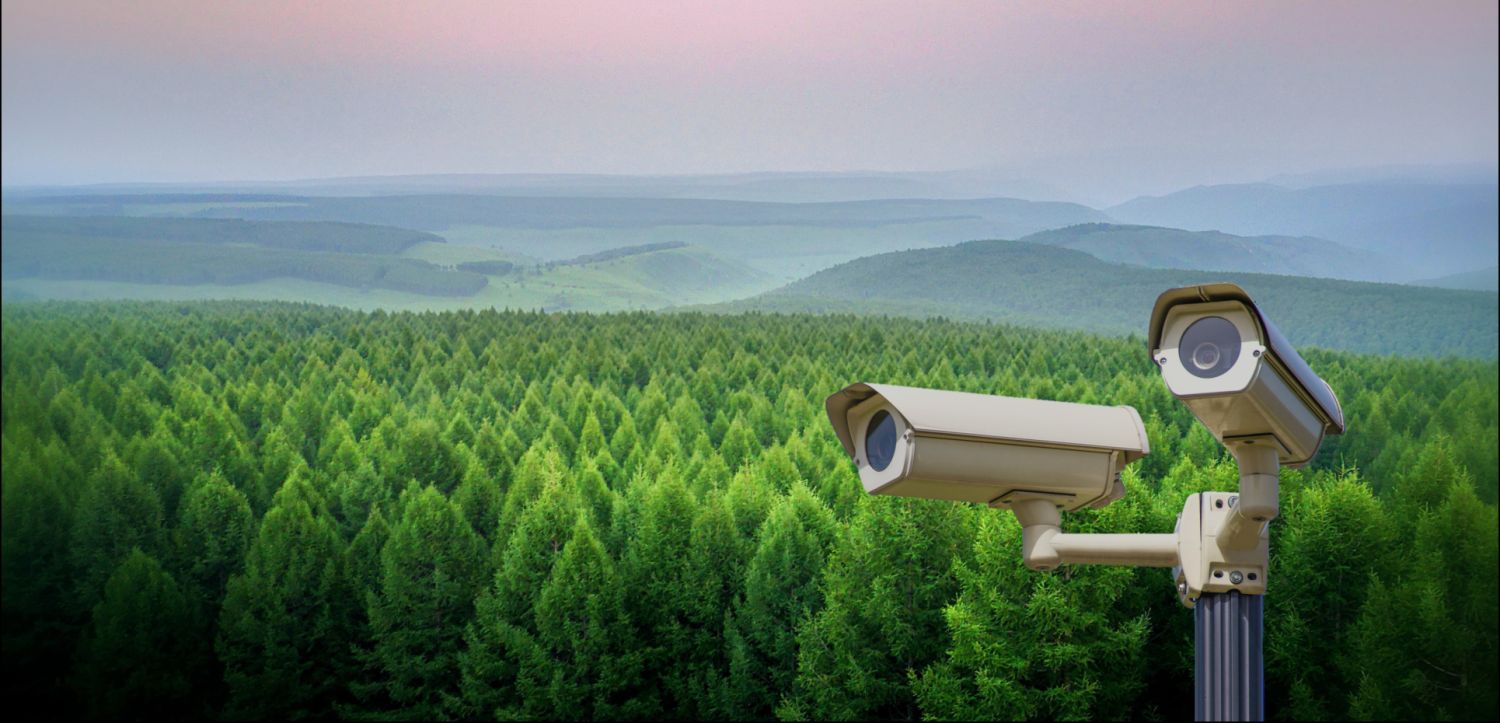 imagen incendios forestales