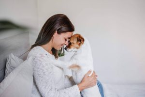 Las claves para garantizar una Navidad feliz a los peludos, por El Perro Feliz
