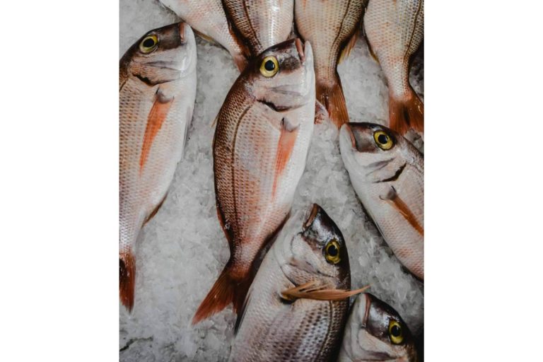 La Platgeta lanza su nueva página web gracias al Kit Digital