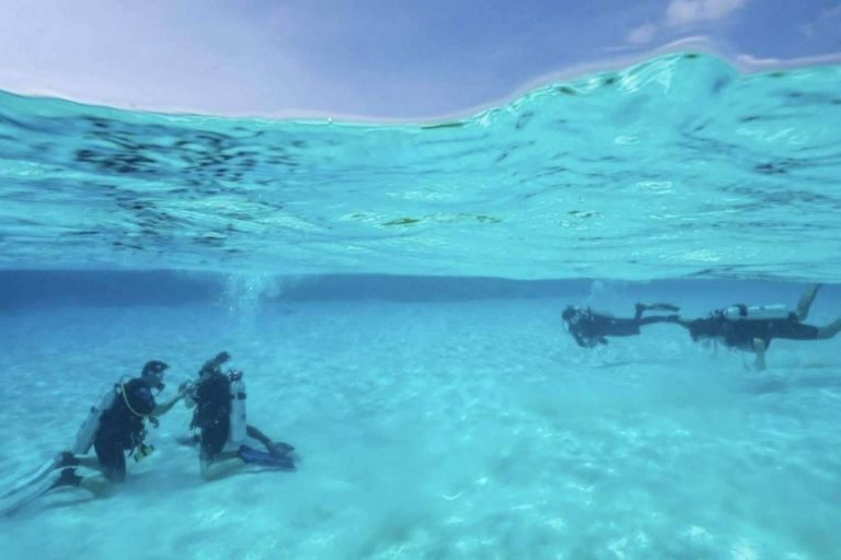 Elegir una escuela de buceo que respete al 100% los standards internacionales de buceo