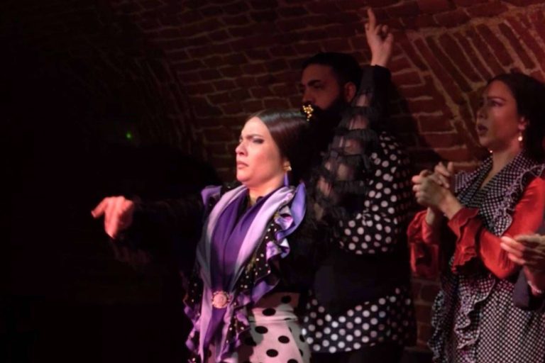 Espectáculos flamencos en Madrid en el Teatro Flamenco Tablao Torero