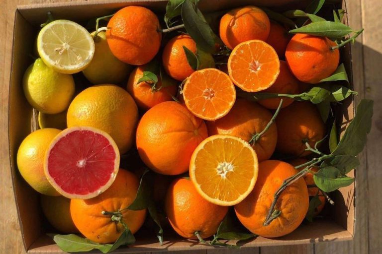 Comprar verduras online en cualquier momento y desde cualquier lugar con Disfruta y Verdura