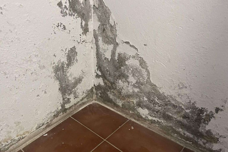 Preactiva se consolida como una solución inteligente para tratar humedades