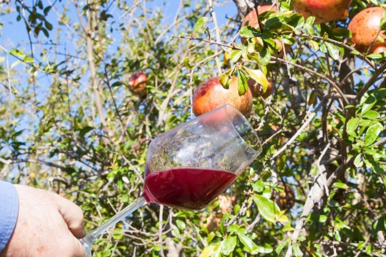 Zumos de granada ecológicos calidad premium, de La Imperfecta