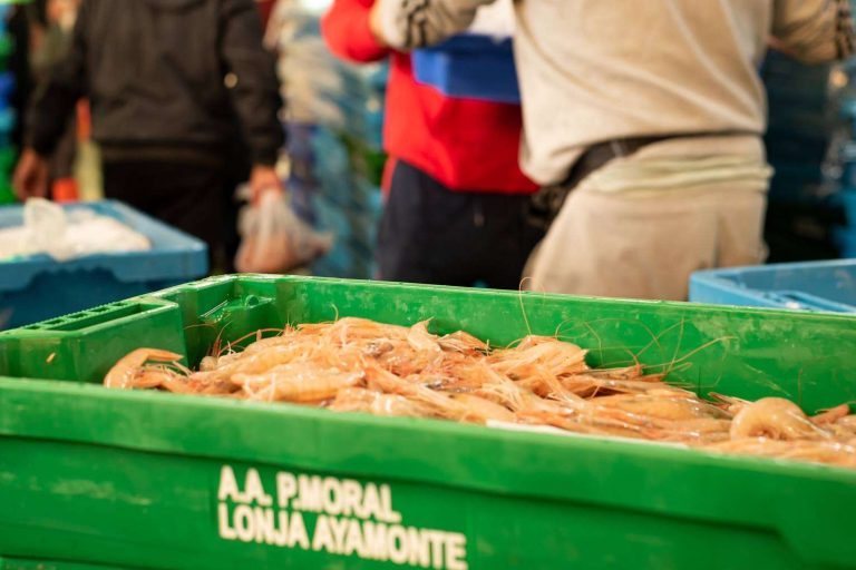La gamba blanca de Huelva de la Lonja de Ayamonte