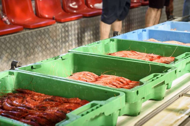 Venta de pescado y marisco fresco en España, en Lonja de Ayamonte