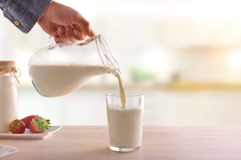 eQuaid Research y los principales beneficios de la leche de yegua de calidad