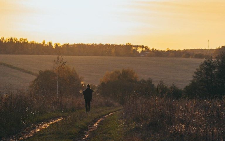 Cómo saber la sembradora que necesitas para tu cultivo