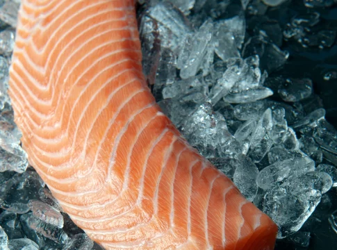 salmon-taco-esencia-del-mar