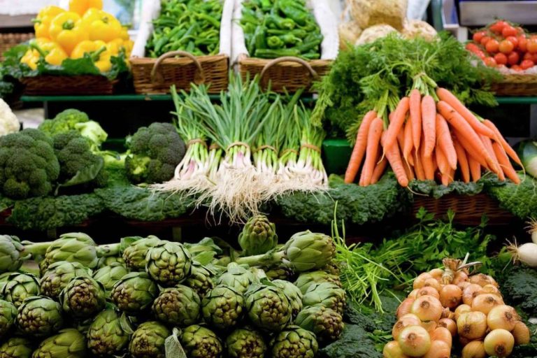 Explorando València verde; ¡descubrir la Capital Europea Sostenible 2024!