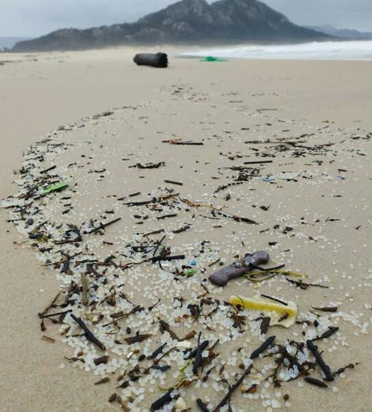 Ecologistas alertan de una afección "terrible" a ecosistemas por la llegada de millones de plásticos a costas gallegas