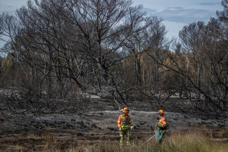 Alcaldesa de Valencia dice que todo apunta a que el incendio en El Saler fue intencionado