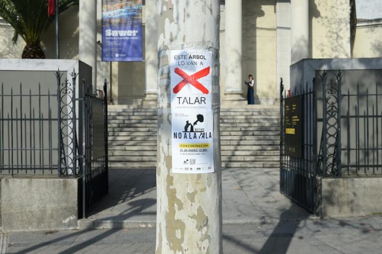 Una consejera de Madrid acusa al PSOE del 