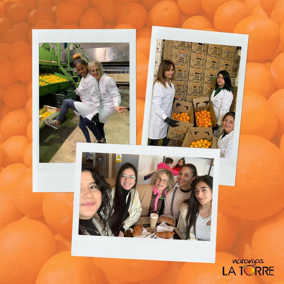 Naranjas la Torre: Sabor a Valencia directo al hogar 1 Naranjas la Torre: Sabor a Valencia directo al hogar