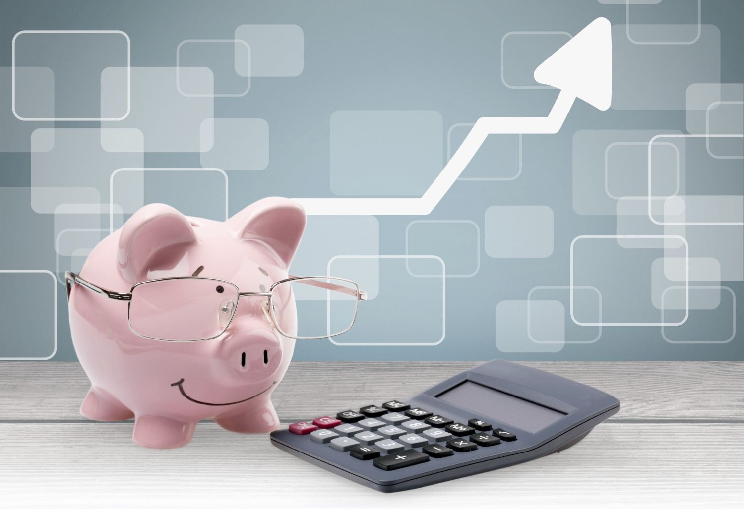 EL ARTE DEL PRESUPUESTO