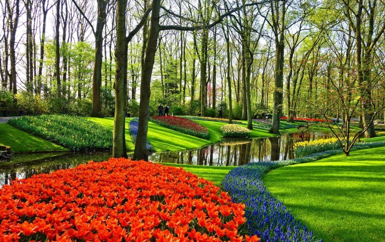 Amsterdam en primavera