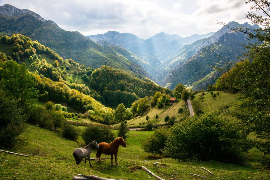 Asturias lidera la simpatía