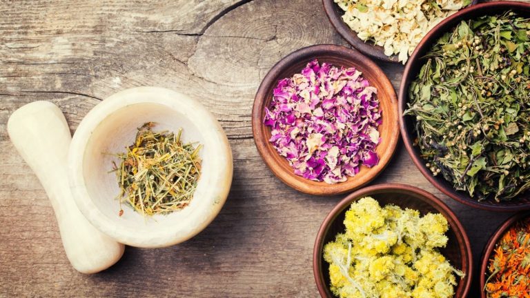 Mejora tu memoria o la de tus mayores con la Ayurveda, conocida como 