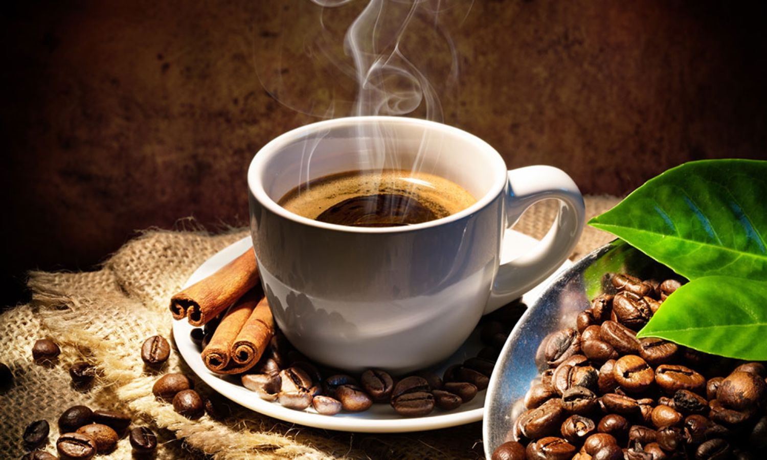 PRECAUCIONES A TOMAR