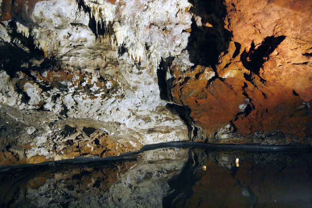Cuevas de Altamira y otros tesoros históricos