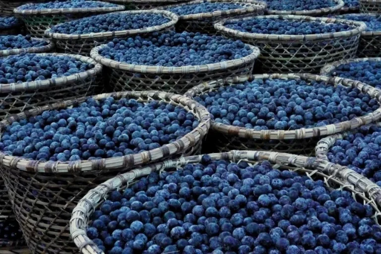 El desconocido superalimento que combate el estrés oxidativo y que puedes comprar en Carrefour