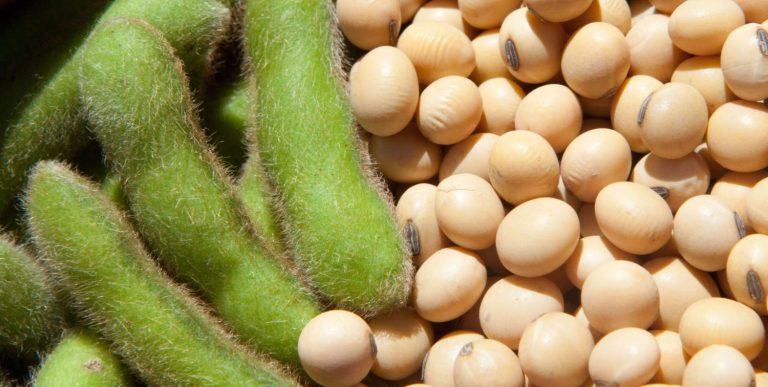 El ingrediente secreto que da un chute de proteínas a tus comidas y venden en Aldi, Alcampo y más