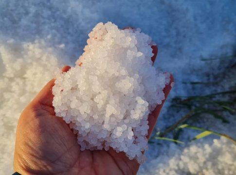 El riesgo de los pellets de Galicia en el pescado español