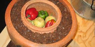 El truco de una joven para no gastar electricidad y mantener los alimentos fríos sin nevera