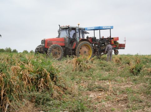 El real decreto del día de ayer ha dado a las cooperativas del sector agrícola una buena noticia en medio de una crisis