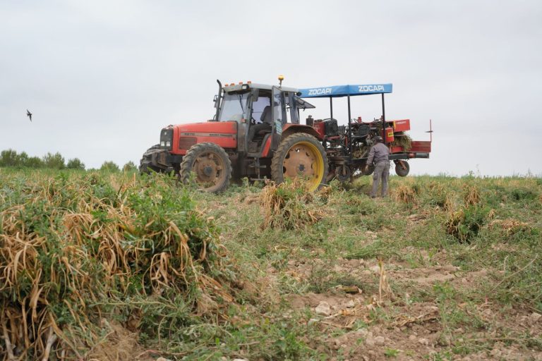 El Gobierno da a las cooperativas el poder para negociar con los mercados por primera vez