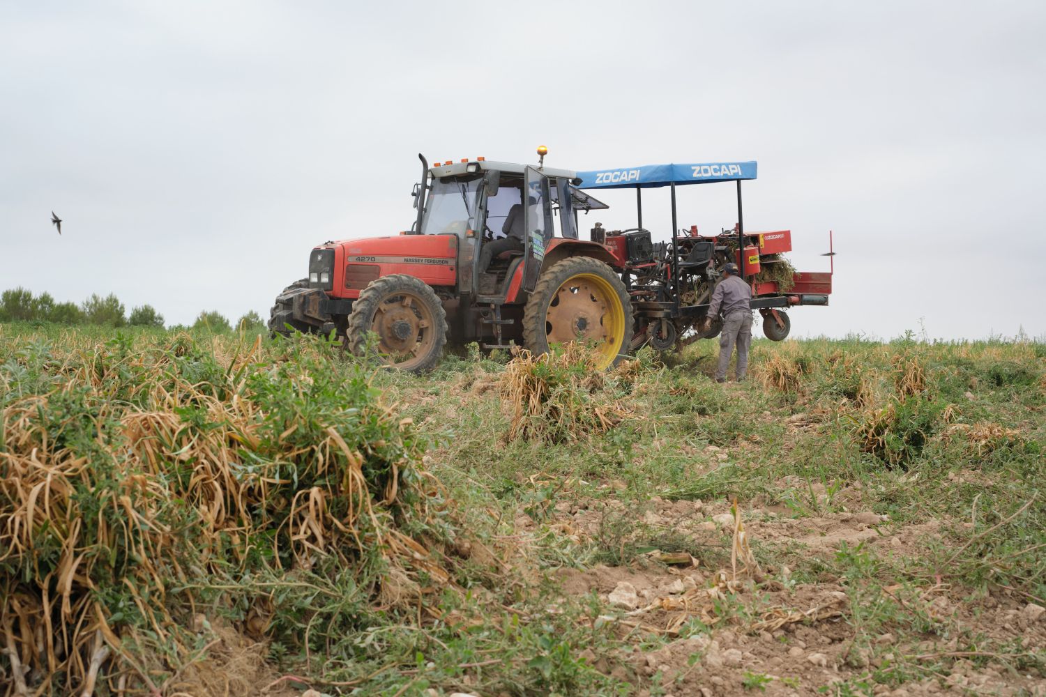 El real decreto del día de ayer ha dado a las cooperativas del sector agrícola una buena noticia en medio de una crisis
