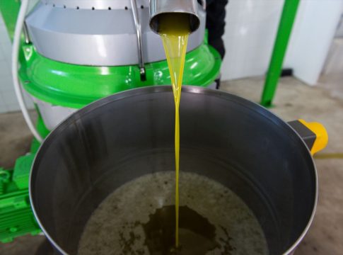 A pesar de la bajada del IVA el aceite de oliva seguirá subiendo los primeros meses del año