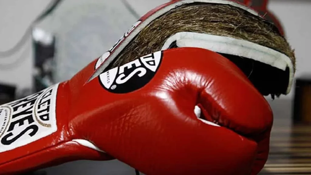 Fue traficante de drogas e hizo cine adulto, pero ahora es campeón del mundo de boxeo 246 Historias que no todo el mundo conoce