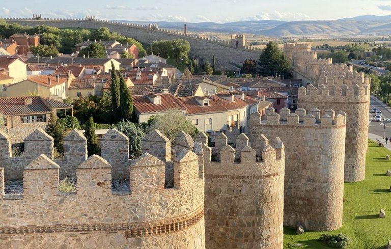 Ávila se une a la repulsa de la conducta 