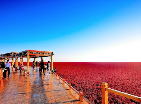 Panjin Esta alucinante playa roja parece de otro planeta, pero está en China y cumple una función clave