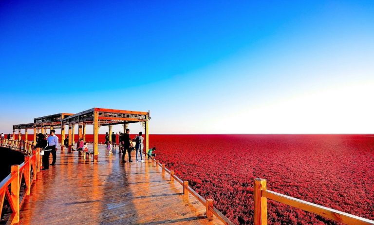 Esta alucinante playa roja parece de otro planeta, pero está en China y cumple una función clave