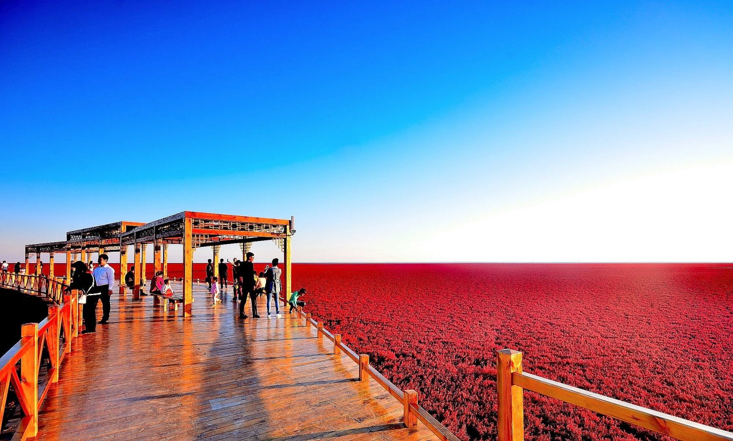 Panjin Esta alucinante playa roja parece de otro planeta, pero está en China y cumple una función clave