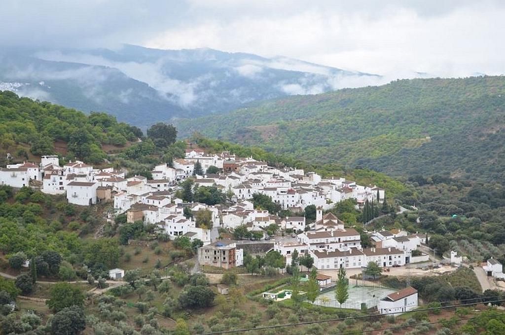Parauta, el tesoro andalusí que despierta en la serranía de Ronda