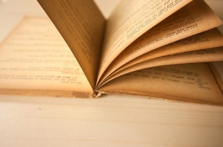 El castellano sigue siendo la opción preferida para un porcentaje clave de familias en Mallorca e Ibiza