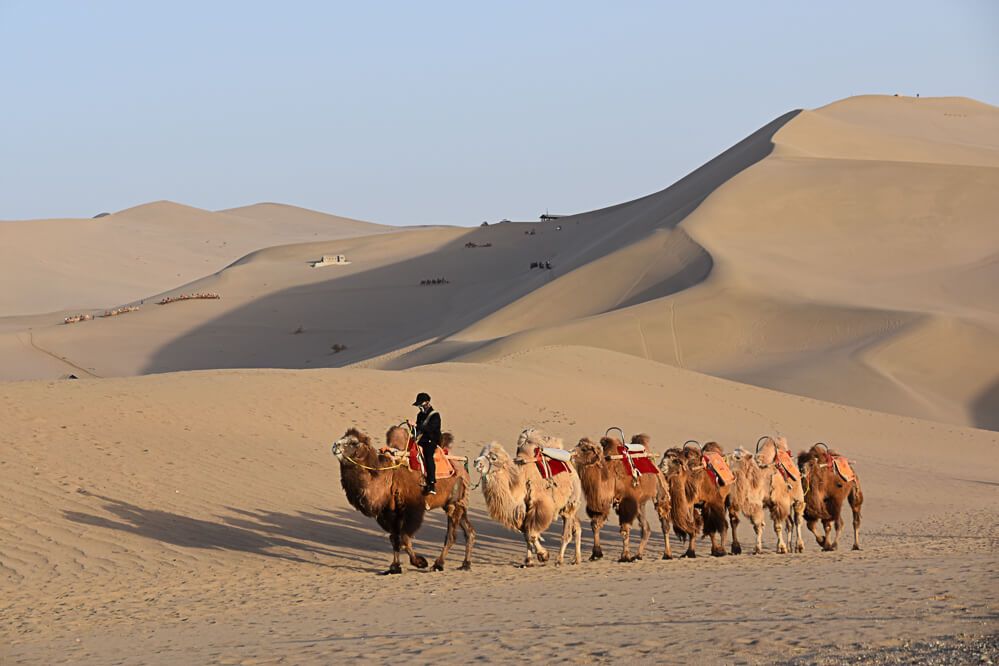 Destinos de viaje poco habituales que deberías tener en tu lista de 2024 3 VIAJES TRANSFORMATIVOS: EXPERIENCIAS ÚNICAS