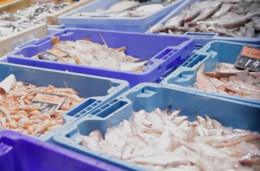 El nuevo concepto de Mercadona que cambiará tu forma de comprar en el supermercado 33 Durabilidad aumentada: beneficios clave para el consumidor