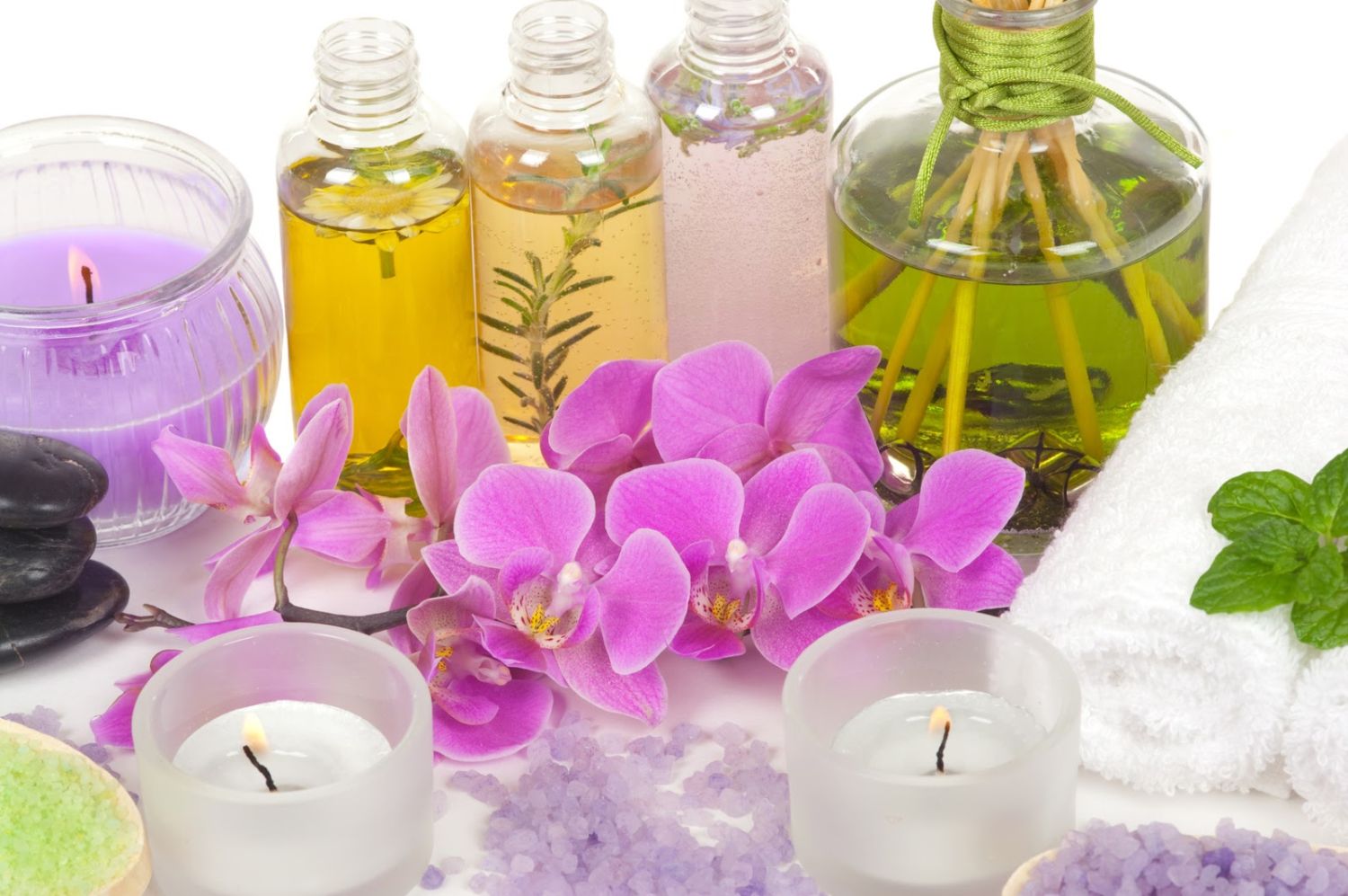 UN PASEO POR EL JARDÍN DE LOS REMEDIOS