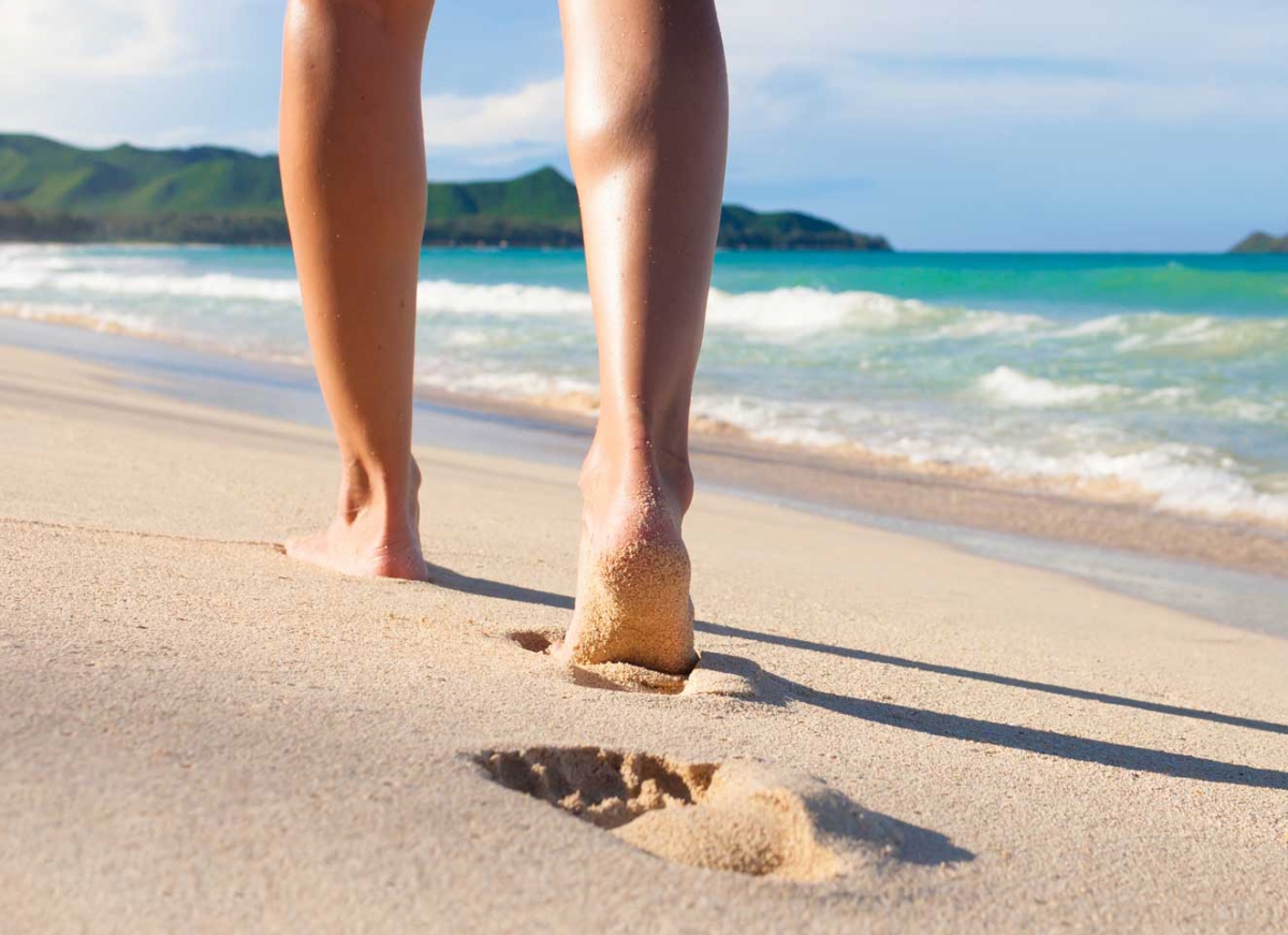 CONEXIÓN CON LA TIERRA: BASES CIENTÍFICAS DEL EARTHING