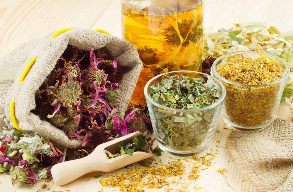 Plantas y Suplementos Herbales: Potenciadores Naturales