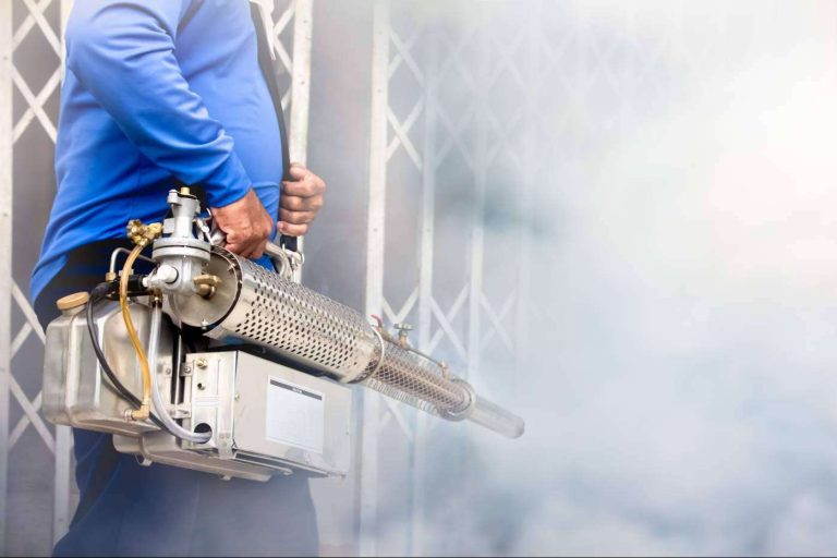 Quipons, la empresa especializada en control y desinfección de plagas en Murcia