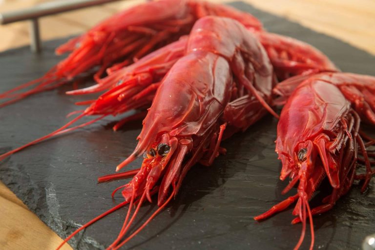 Marisco fresco de calidad de la zona sur de España, desde Almería hasta Ayamonte