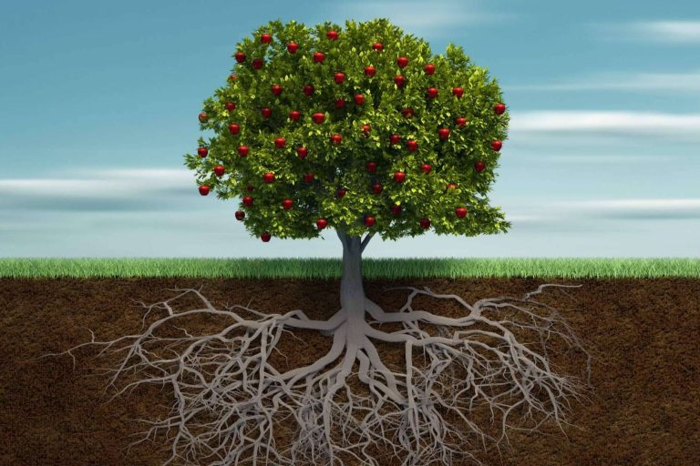 Talleres de desarrollo personal femenino y constelaciones familiares en Madrid