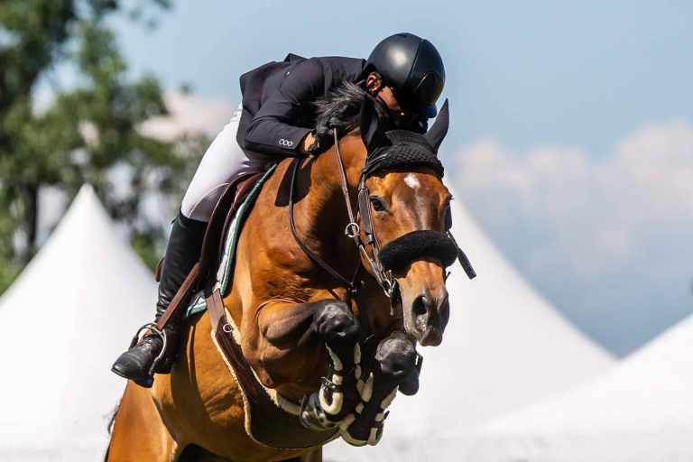 Chacco Info, un portal referencia en el mundo hípico. Noticias, servicios e información ecuestre de interés